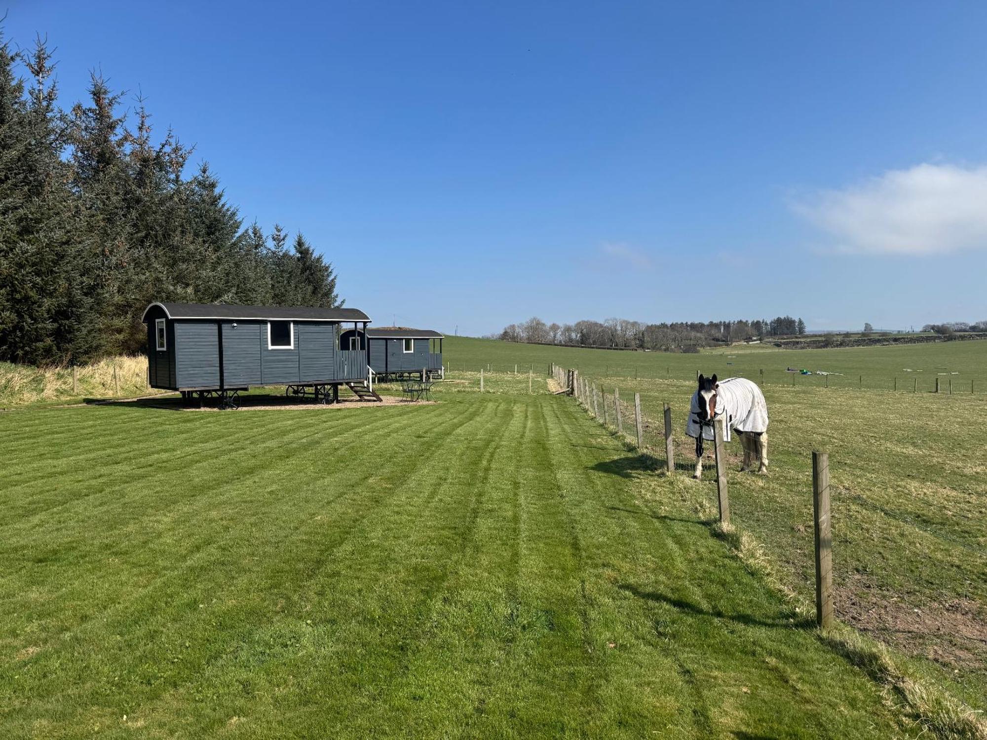 Roslin Glamping Exterior foto